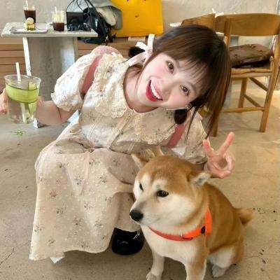 妖精种植手册